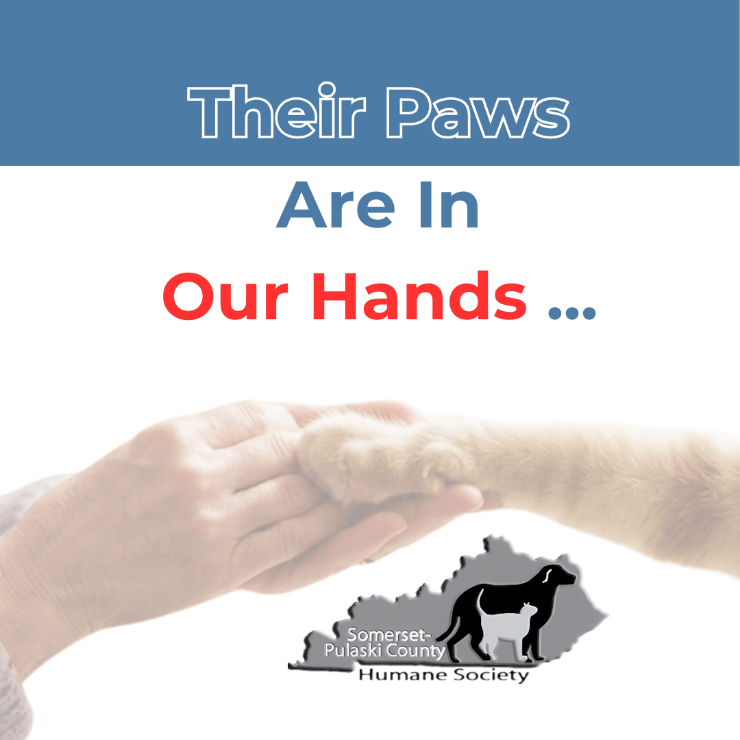 Slide 1 - Their Paws Are In Our Hands