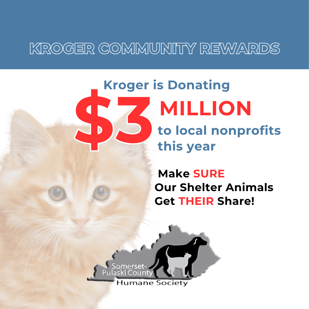 Slide 2 - $3 Million to local nonprofits